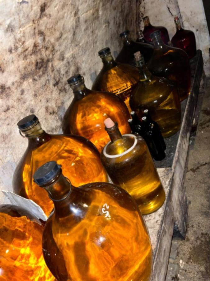 Ubytovani U Dedy Moravská Nová Ves المظهر الخارجي الصورة